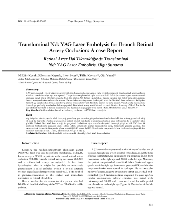 (PDF) Transluminal Nd: YAG Laser Embolysis for Branch Retinal Artery ...