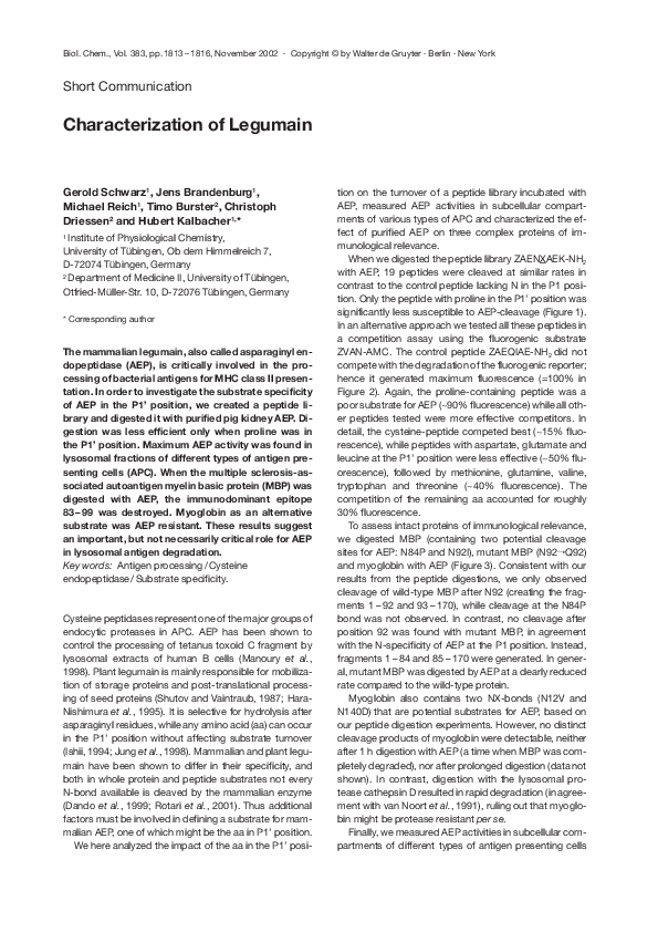 (PDF) Characterization of Legumain