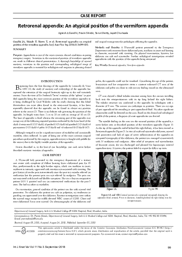 (PDF) Retrorenal appendix: An atypical position of the vermiform appendix