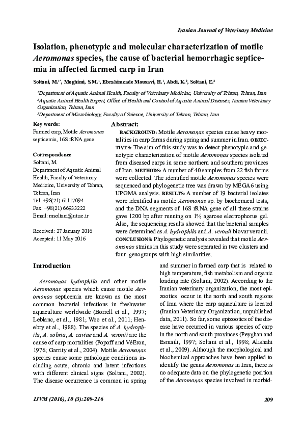 (PDF) Isolation, phenotypic and molecular characterization of motile ...