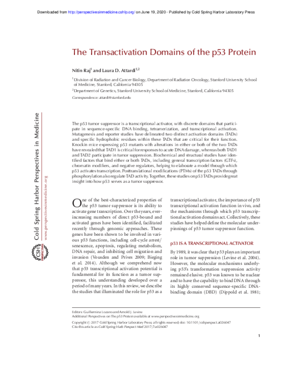 (PDF) The Transactivation Domains of the p53 Protein