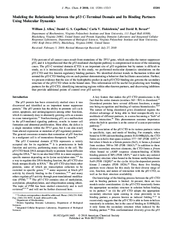 Modeling the Relationship between the p53 C-Terminal Domain and Its Binding Partners Using Molecular Dynamics