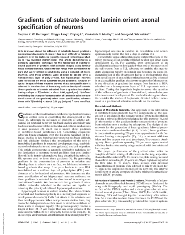 (PDF) Gradients of substrate-bound laminin orient axonal specification ...