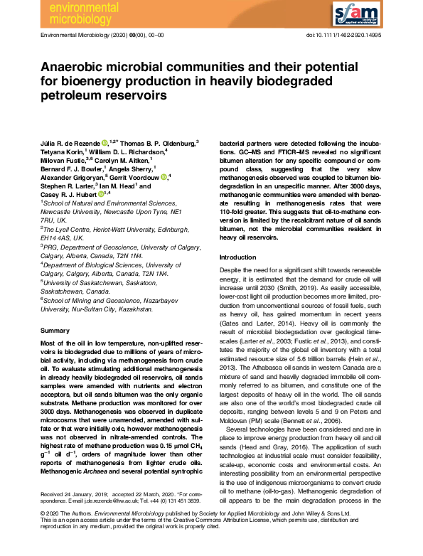 (PDF) Anaerobic microbial communities and their potential for bioenergy ...