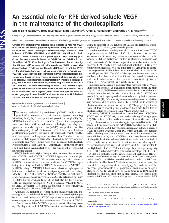 (PDF) An essential role for RPE-derived soluble VEGF in the maintenance ...