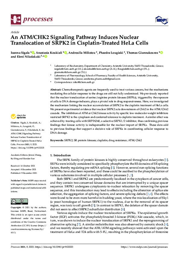 (PDF) An ATM/CHK2 Signaling Pathway Induces Nuclear Translocation of ...