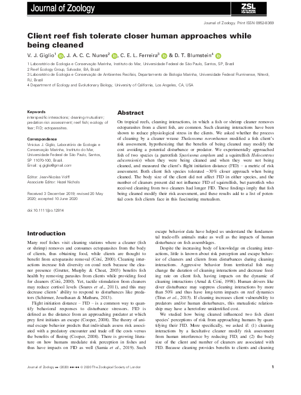 (PDF) Client reef fish tolerate closer human approaches while being cleaned
