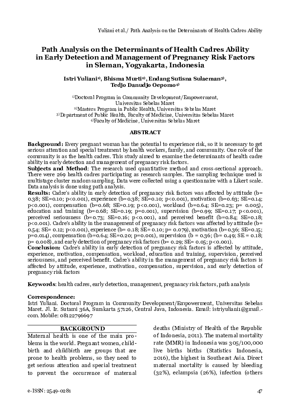 (PDF) Path Analysis on the Deterninants of Health Cadres Ability in ...