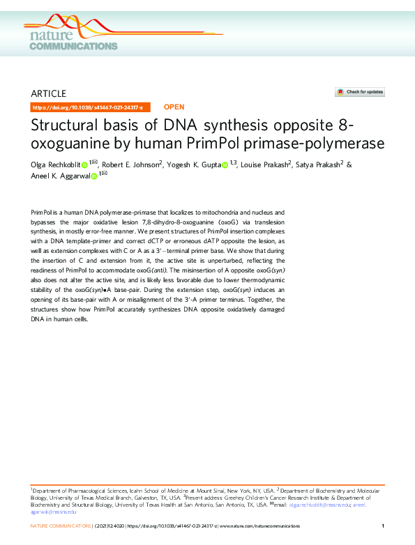 (PDF) Structural basis of DNA synthesis opposite 8-oxoguanine by human ...