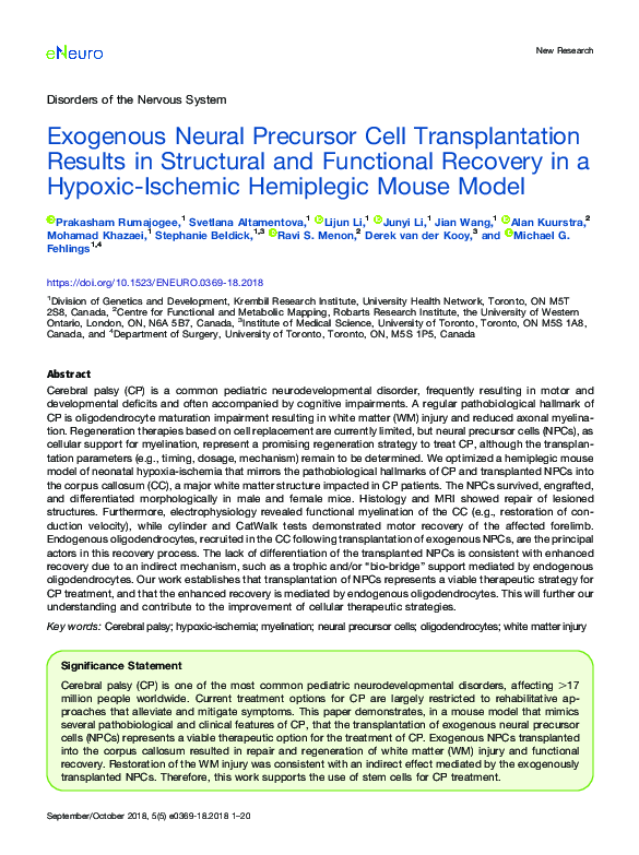 (PDF) Exogenous Neural Precursor Cell Transplantation Results in ...