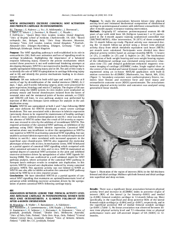 (PDF) Association between leisure time physical activity level and ...