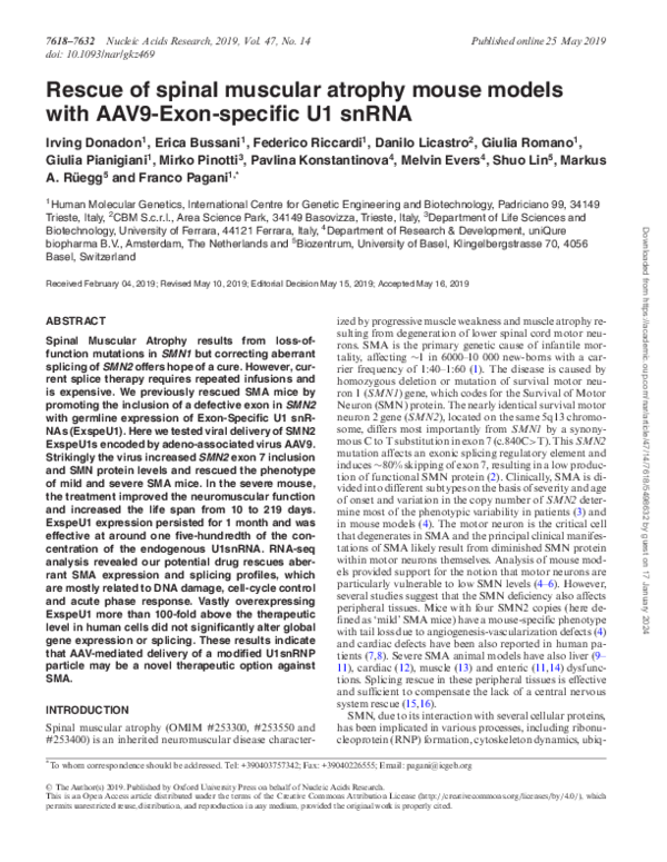 (PDF) Rescue of spinal muscular atrophy mouse models with AAV9-Exon ...