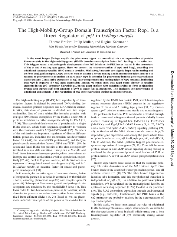 (PDF) The High-Mobility-Group Domain Transcription Factor Rop1 Is a ...