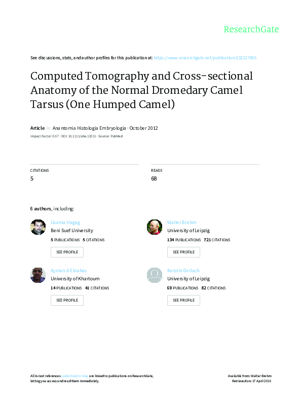 (PDF) Computed Tomography and Cross-sectional Anatomy of the Normal ...