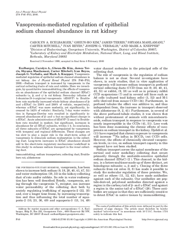 (PDF) Vasopressin-mediated regulation of epithelial sodium channel ...