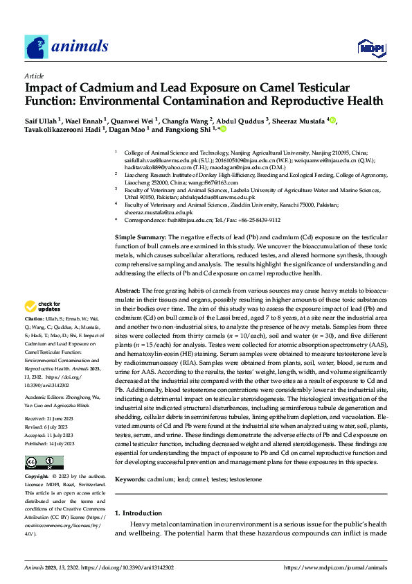 (PDF) Impact of Cadmium and Lead Exposure on Camel Testicular Function ...