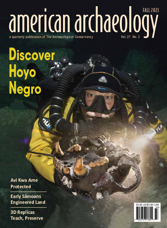 (PDF) DOMINIQUE RISSOLO / ORG