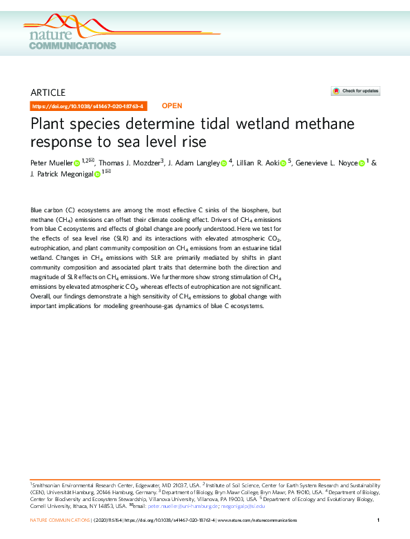 (PDF) Plant species determine tidal wetland methane response to sea ...