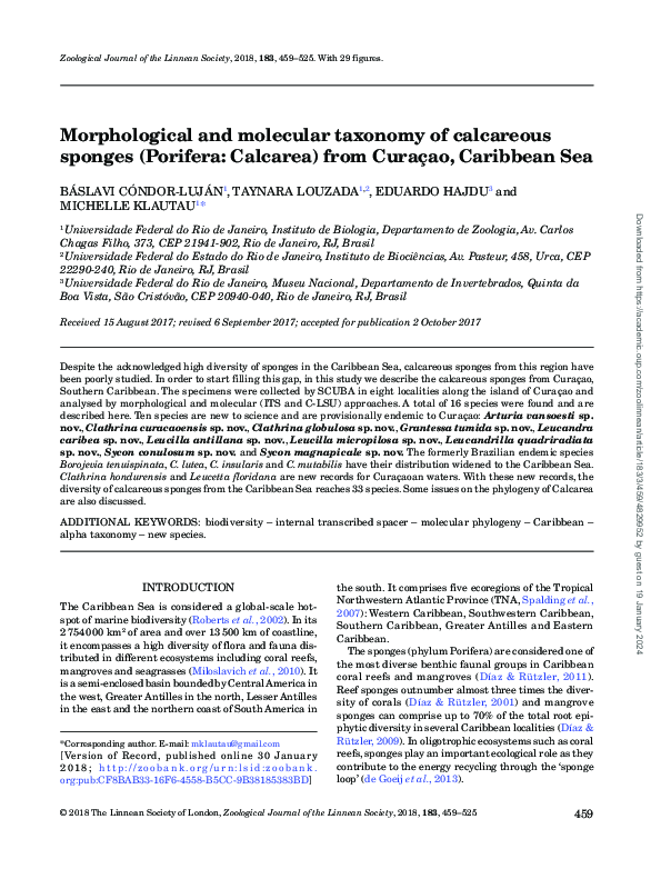 (PDF) Morphological and molecular taxonomy of calcareous sponges ...