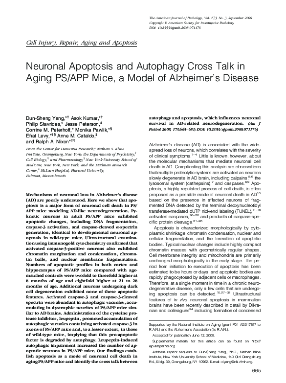 (PDF) Neuronal Apoptosis and Autophagy Cross Talk in Aging PS/APP Mice ...