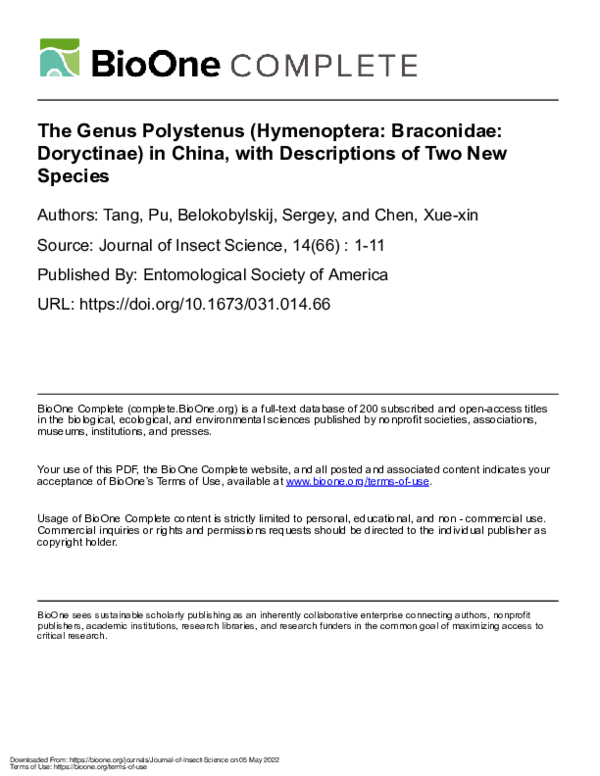 (PDF) The genus Polystenus (Hymenoptera: Braconidae: Doryctinae) in ...