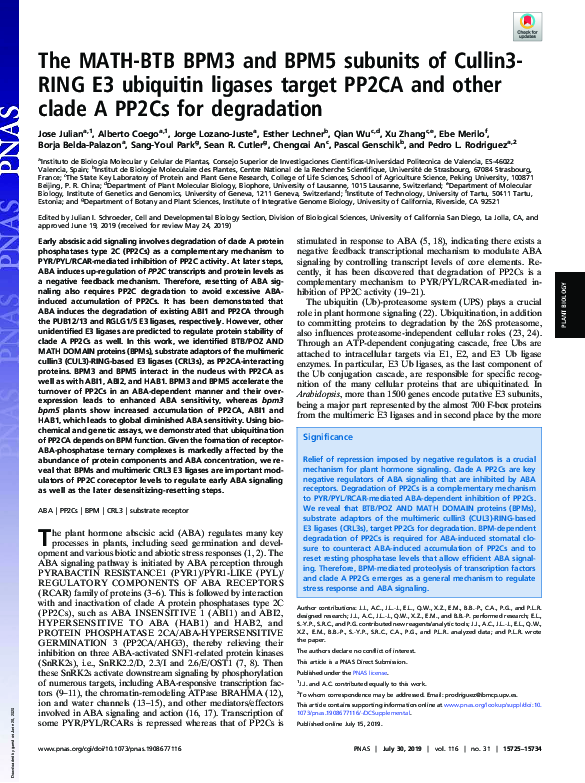 (PDF) The MATH-BTB BPM3 and BPM5 subunits of Cullin3-RING E3 ubiquitin ...