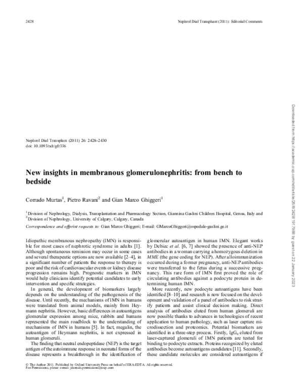 (PDF) New insights into membranous glomerulonephritis: from bench to ...