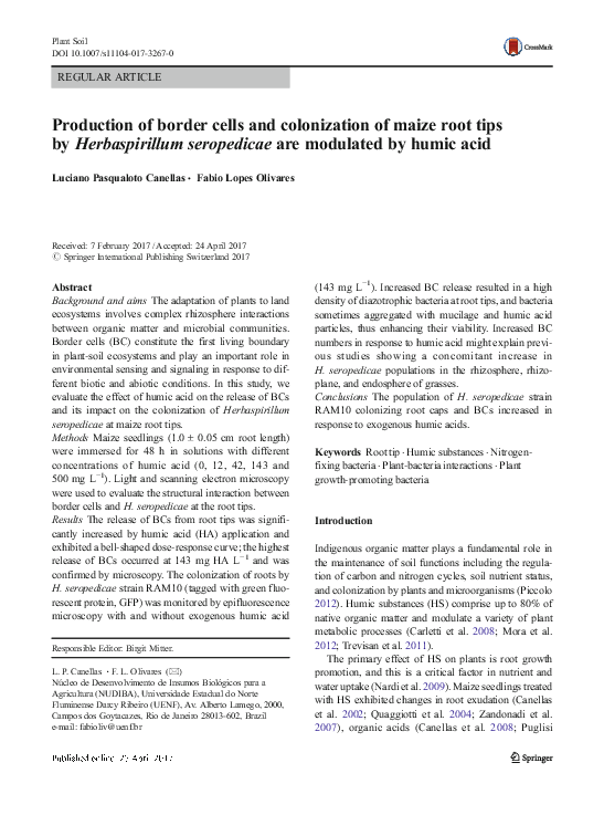 (PDF) Production of border cells and colonization of maize root tips by ...