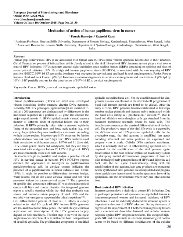 (PDF) Mechanism of action of human papilloma virus in cancer