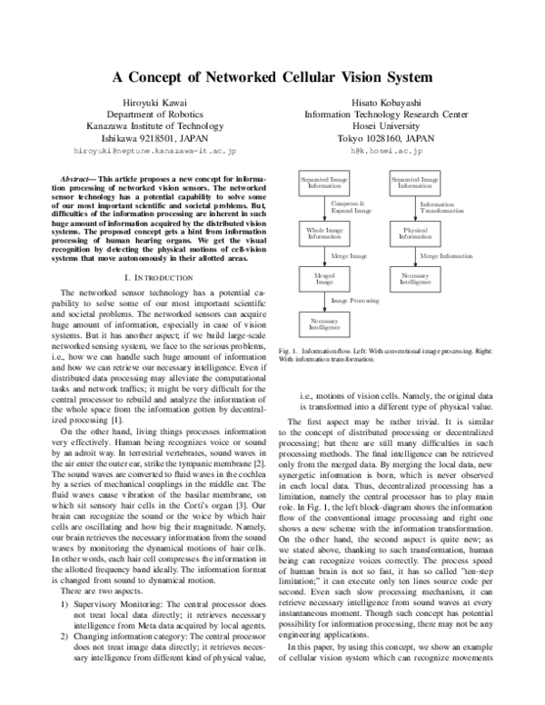 (PDF) A concept of networked cellular vision system