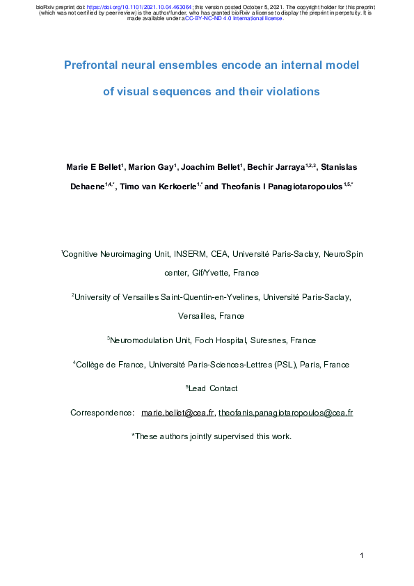 (PDF) Spontaneously emerging internal models of visual sequences ...