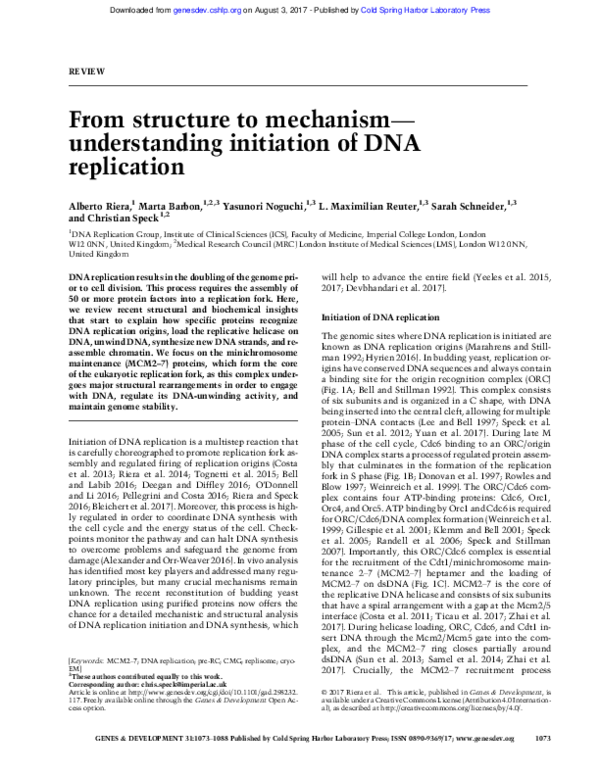 (PDF) From structure to mechanism-understanding initiation of DNA ...