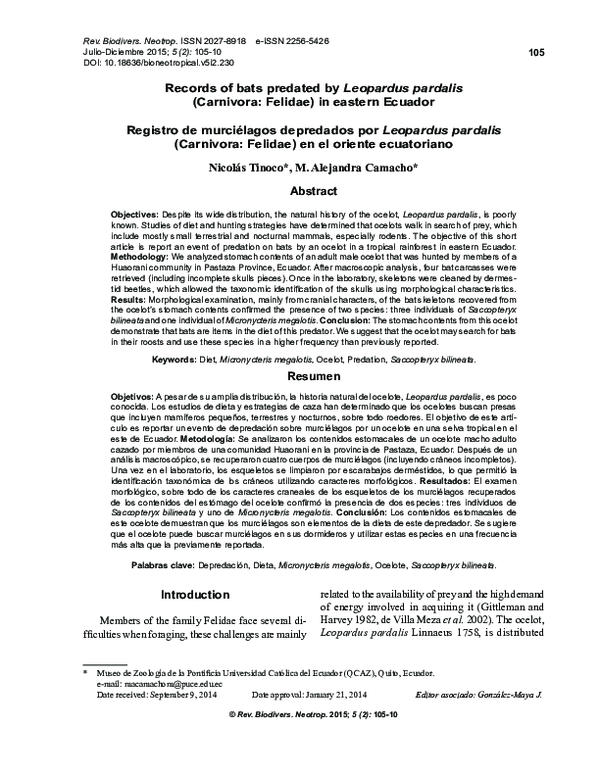 (PDF) Records of bats predated by Leopardus pardalis (Carnivora ...