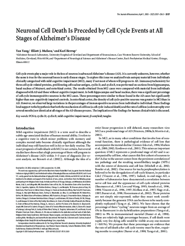 (PDF) Neuronal Cell Death Is Preceded by Cell Cycle Events at All ...