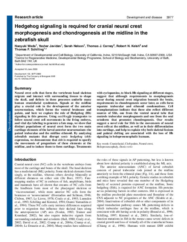 (PDF) Hedgehog signaling is required for cranial neural crest ...