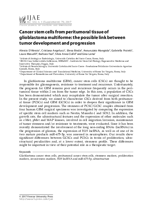 (PDF) Cancer stem cells from peritumoral tissue of glioblastoma ...