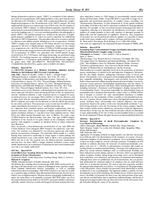 (PDF) Serial Block-Face Scanning Electron Microscopy for Nanoscale ...