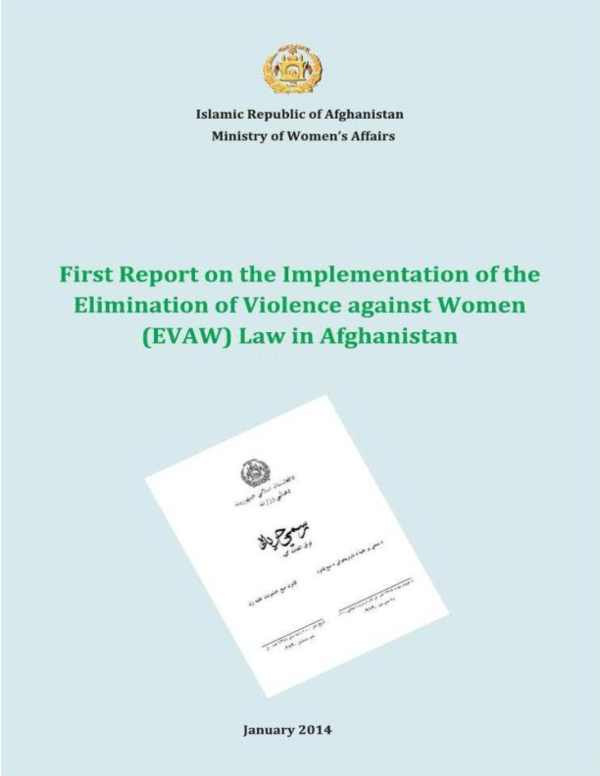(PDF) The First Report on the Implementation of the Elimination of ...