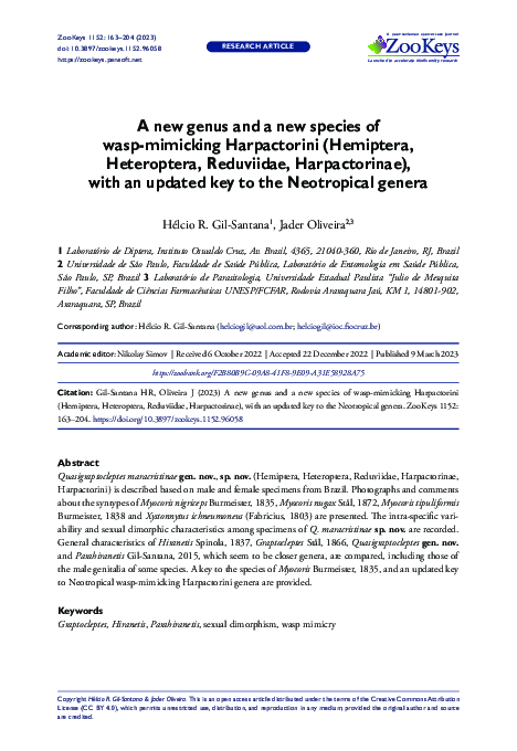 (PDF) A new genus and a new species of wasp-mimicking Harpactorini ...