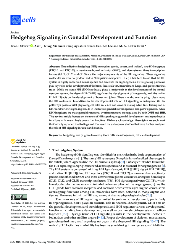 (PDF) Hedgehog Signaling in Gonadal Development and Function