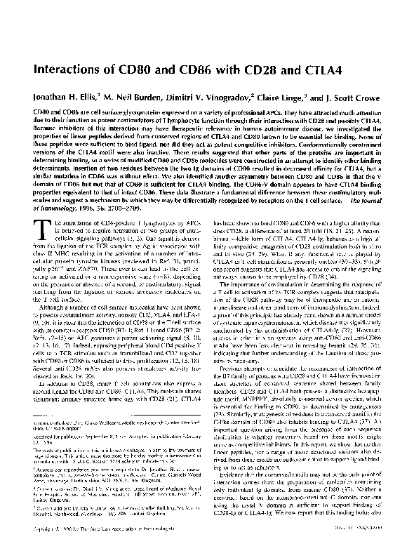 (PDF) Interactions of CD80 and CD86 with CD28 and CTLA4