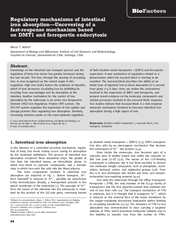 (PDF) Regulatory mechanisms of intestinal iron absorption—Uncovering of ...