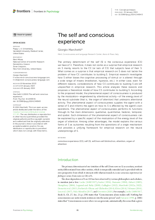 (PDF) The self and conscious experience