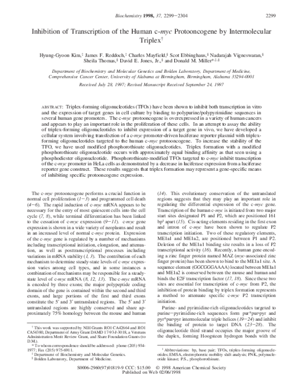 (PDF) Inhibition of Transcription of the Human c-myc Protooncogene by ...