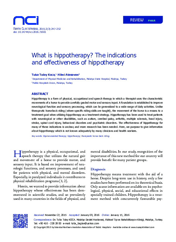 (PDF) What is hippotherapy? The indications and effectiveness of ...