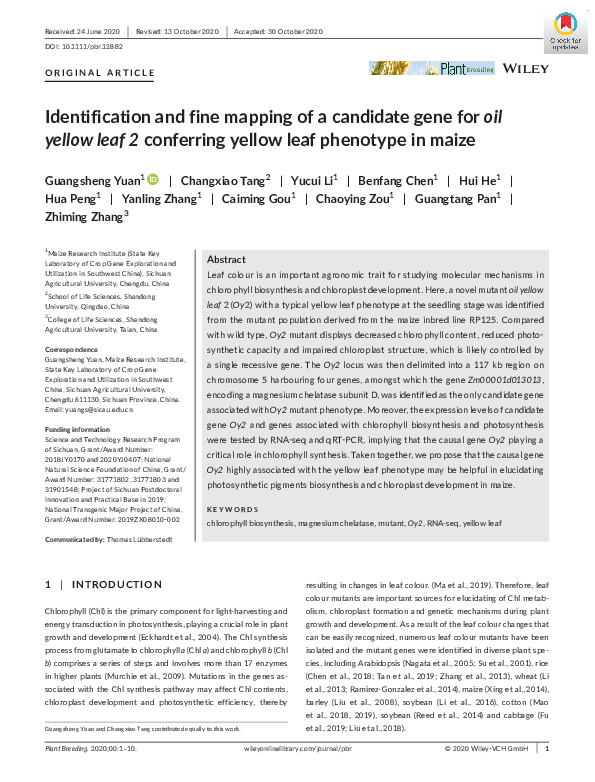(PDF) Identification and Fine Mapping of Candidate Gene for Yellow Leaf ...