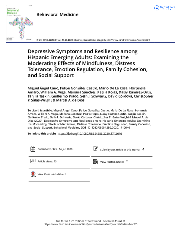 (PDF) Depressive Symptoms and Resilience among Hispanic Emerging Adults ...