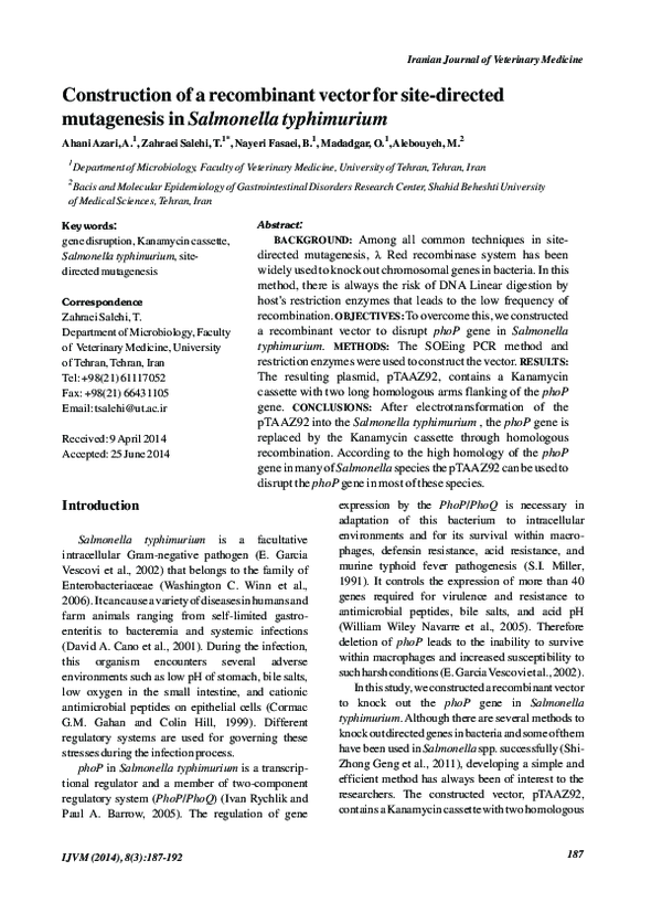 (PDF) Construction of a recombinant vector for site-directed ...