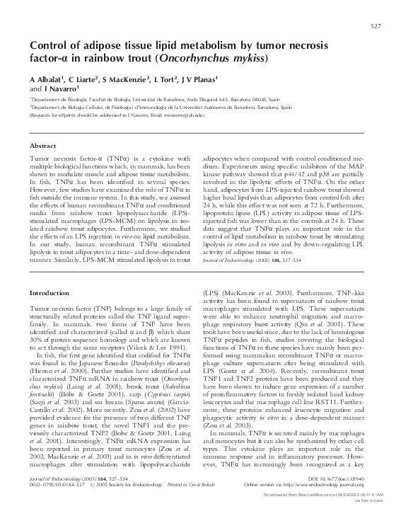 (PDF) Control of adipose tissue lipid metabolism by tumor necrosis ...