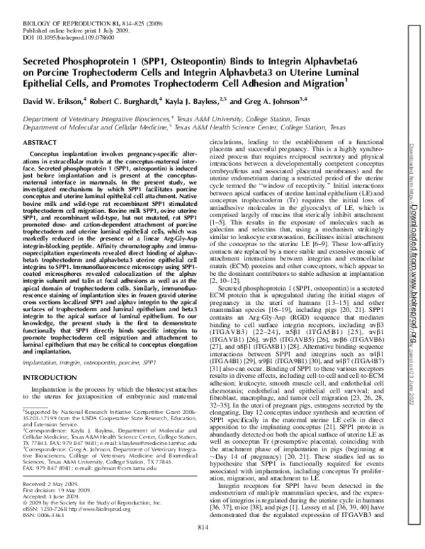 (PDF) Secreted Phosphoprotein 1 (SPP1, Osteopontin) Binds to Integrin ...